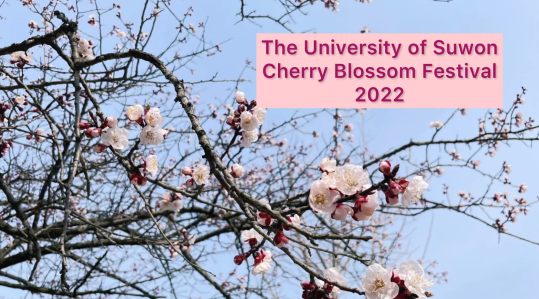 The University of Suwon Cherry Blossom Festival 2022